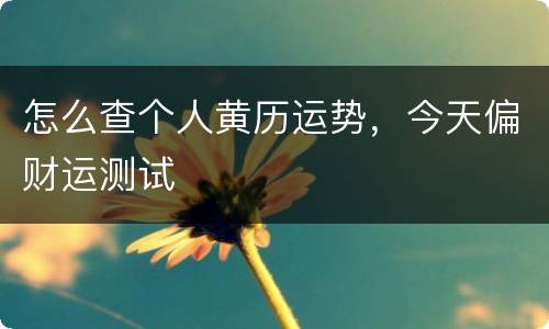 怎么查个人黄历运势，今天偏财运测试