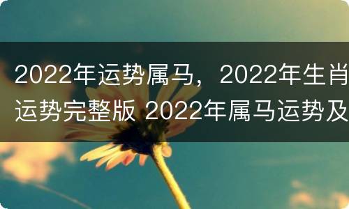 2022年运势属马，2022年生肖运势完整版 2022年属马运势及运程
