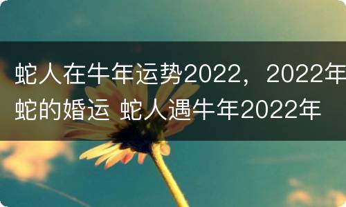 蛇人在牛年运势2022，2022年蛇的婚运 蛇人遇牛年2022年