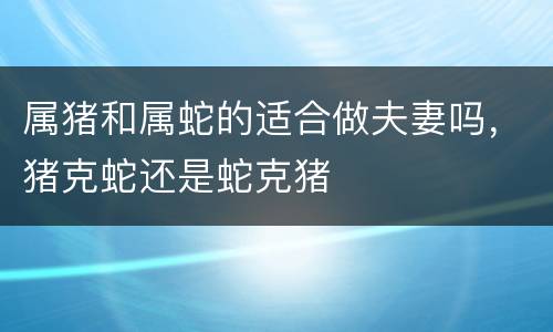 属猪和属蛇的适合做夫妻吗，猪克蛇还是蛇克猪