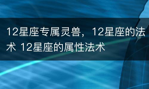 12星座专属灵兽，12星座的法术 12星座的属性法术