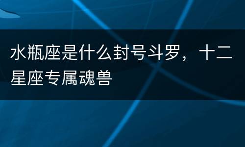 水瓶座是什么封号斗罗，十二星座专属魂兽