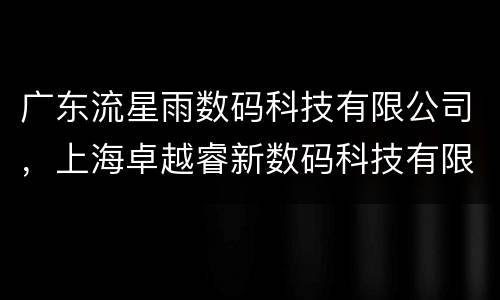 广东流星雨数码科技有限公司，上海卓越睿新数码科技有限公司