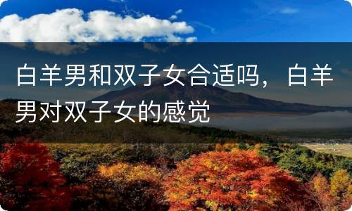 白羊男和双子女合适吗，白羊男对双子女的感觉