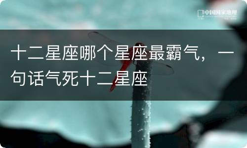 十二星座哪个星座最霸气，一句话气死十二星座