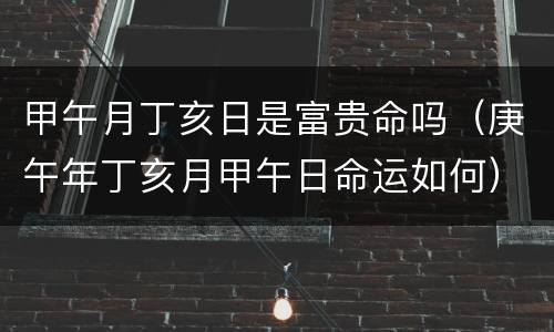 甲午月丁亥日是富贵命吗（庚午年丁亥月甲午日命运如何）