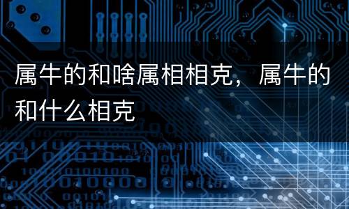 属牛的和啥属相相克，属牛的和什么相克