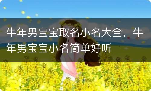 牛年男宝宝取名小名大全，牛年男宝宝小名简单好听