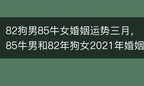 82狗男85牛女婚姻运势三月，85牛男和82年狗女2021年婚姻