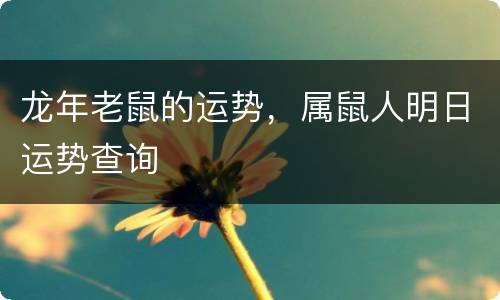 龙年老鼠的运势，属鼠人明日运势查询