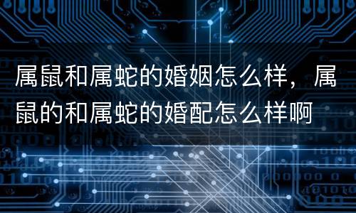 属鼠和属蛇的婚姻怎么样，属鼠的和属蛇的婚配怎么样啊
