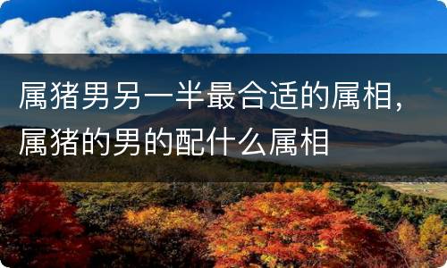 属猪男另一半最合适的属相，属猪的男的配什么属相