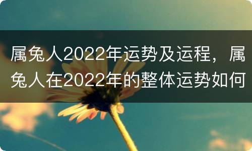 属兔人2022年运势及运程，属兔人在2022年的整体运势如何