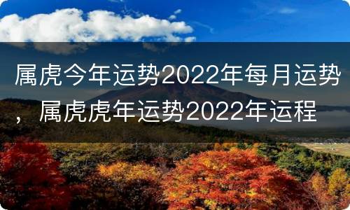 属虎今年运势2022年每月运势，属虎虎年运势2022年运程