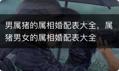 男属猪的属相婚配表大全，属猪男女的属相婚配表大全