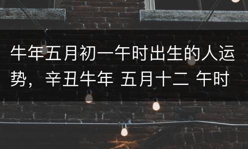 牛年五月初一午时出生的人运势，辛丑牛年 五月十二 午时出生女孩