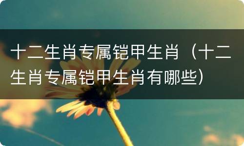 十二生肖专属铠甲生肖（十二生肖专属铠甲生肖有哪些）