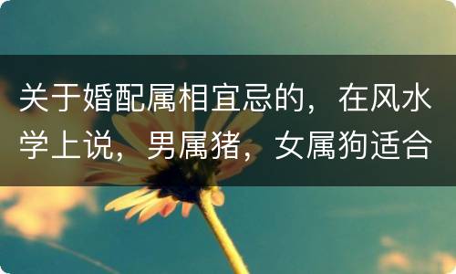 关于婚配属相宜忌的，在风水学上说，男属猪，女属狗适合婚配吗？婚配有什么