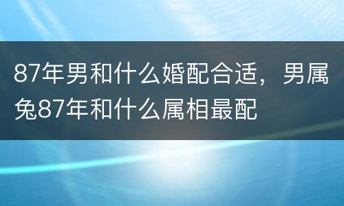 87年男和什么婚配合适，男属兔87年和什么属相最配
