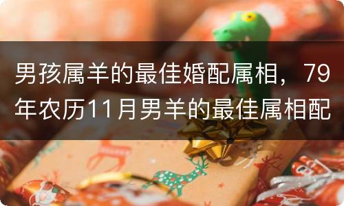 男孩属羊的最佳婚配属相，79年农历11月男羊的最佳属相配偶