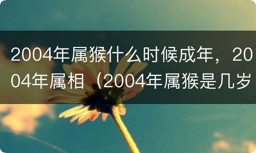 2004年属猴什么时候成年，2004年属相（2004年属猴是几岁了）