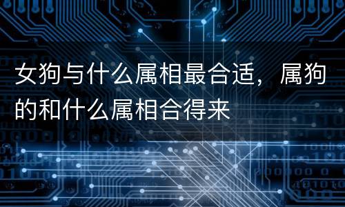 女狗与什么属相最合适，属狗的和什么属相合得来