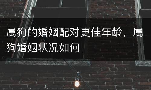 属狗的婚姻配对更佳年龄，属狗婚姻状况如何