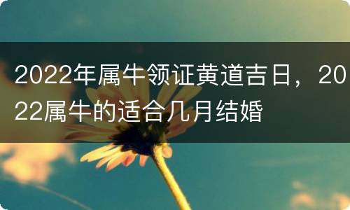 2022年属牛领证黄道吉日，2022属牛的适合几月结婚
