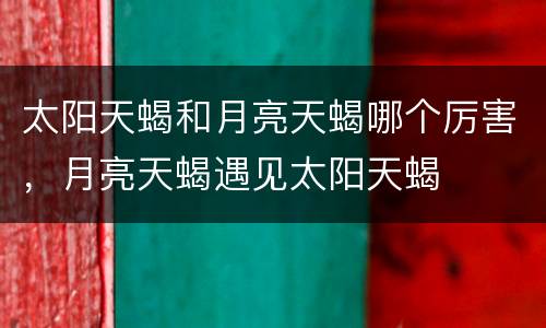 太阳天蝎和月亮天蝎哪个厉害，月亮天蝎遇见太阳天蝎