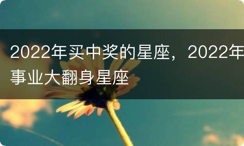 2022年买中奖的星座，2022年事业大翻身星座