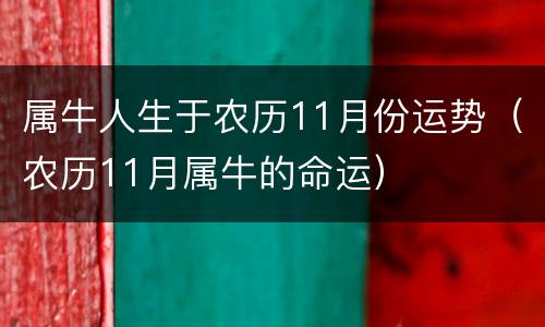 属牛人生于农历11月份运势（农历11月属牛的命运）