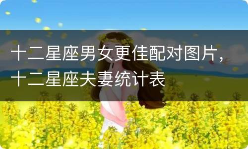 十二星座男女更佳配对图片，十二星座夫妻统计表