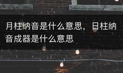 月柱纳音是什么意思，日柱纳音成器是什么意思