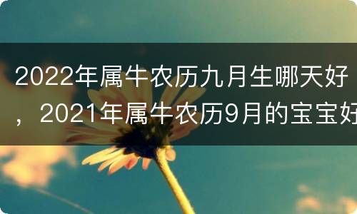 2022年属牛农历九月生哪天好，2021年属牛农历9月的宝宝好不好