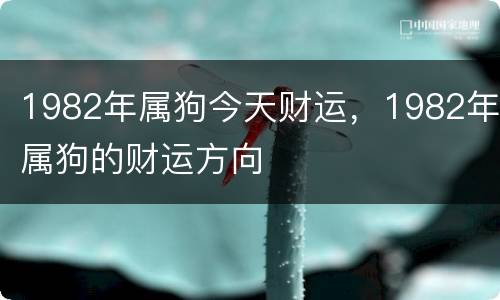 1982年属狗今天财运，1982年属狗的财运方向