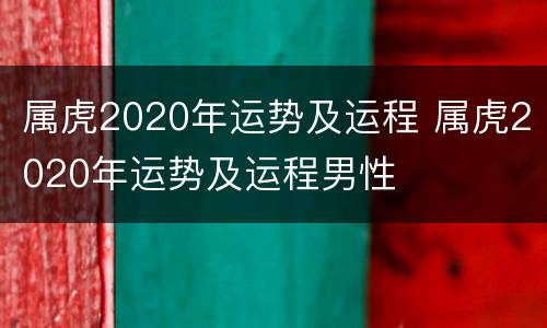 属虎2020年运势及运程 属虎2020年运势及运程男性