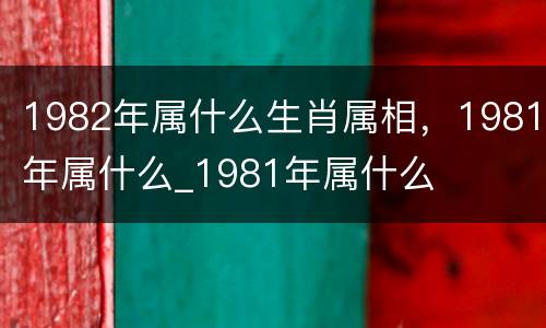 1982年属什么生肖属相，1981年属什么_1981年属什么