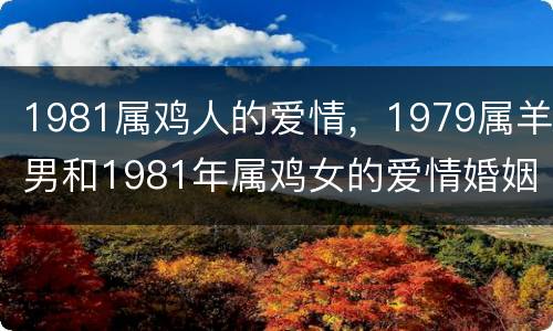 1981属鸡人的爱情，1979属羊男和1981年属鸡女的爱情婚姻好吗？