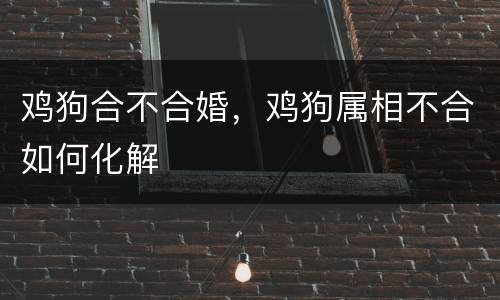 鸡狗合不合婚，鸡狗属相不合如何化解