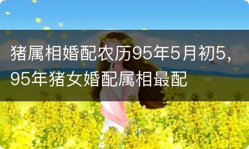 猪属相婚配农历95年5月初5，95年猪女婚配属相最配