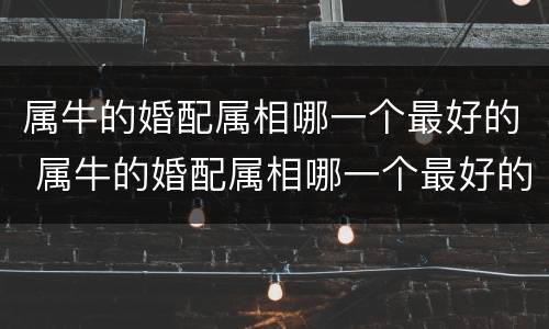 属牛的婚配属相哪一个最好的 属牛的婚配属相哪一个最好的呢