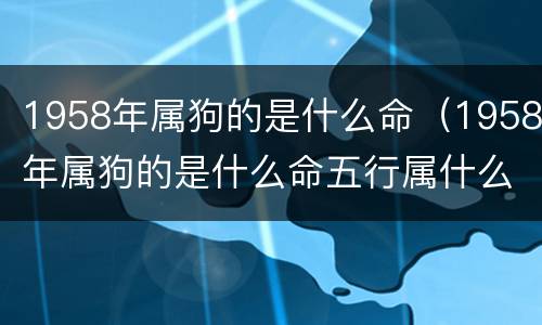 1958年属狗的是什么命（1958年属狗的是什么命五行属什么）