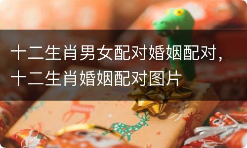 十二生肖男女配对婚姻配对，十二生肖婚姻配对图片