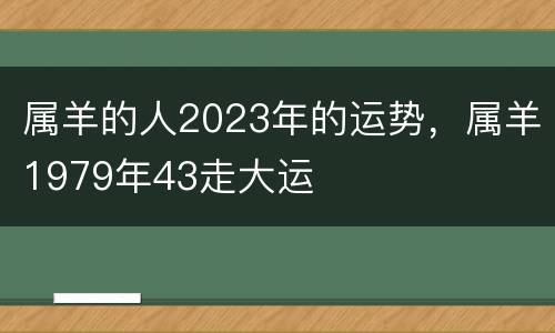 属羊的人2023年的运势，属羊1979年43走大运