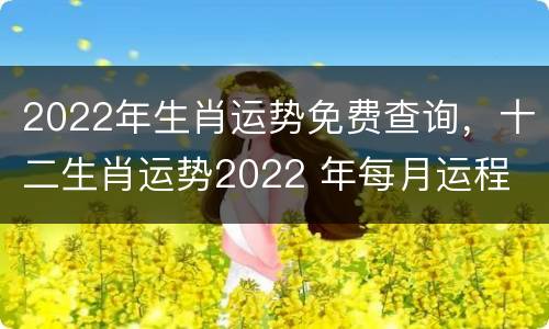 2022年生肖运势免费查询，十二生肖运势2022 年每月运程