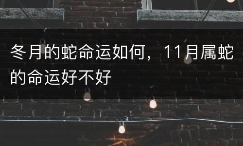 冬月的蛇命运如何，11月属蛇的命运好不好