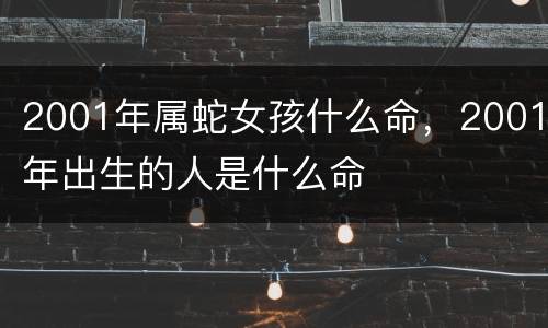 2001年属蛇女孩什么命，2001年出生的人是什么命