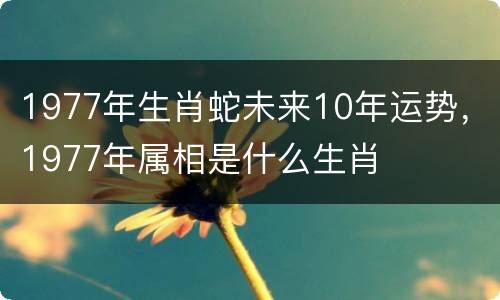 1977年生肖蛇未来10年运势，1977年属相是什么生肖