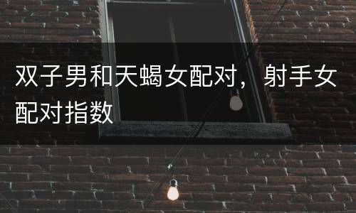 双子男和天蝎女配对，射手女配对指数