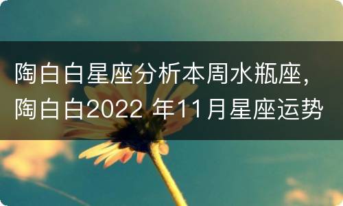 陶白白星座分析本周水瓶座，陶白白2022 年11月星座运势